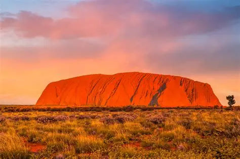 Uluru Cactus Flower Soy Candle 60ml Luzara Candle